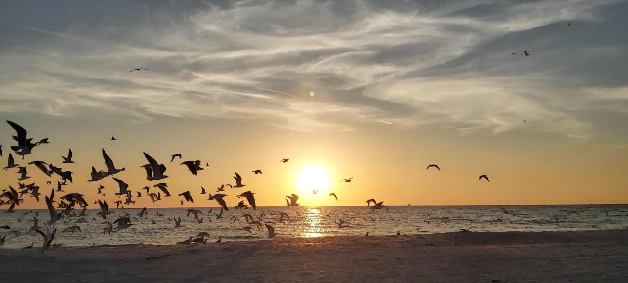 הוילה סיינט פיט ביץ' Sunset Vistas 206S מראה חיצוני תמונה